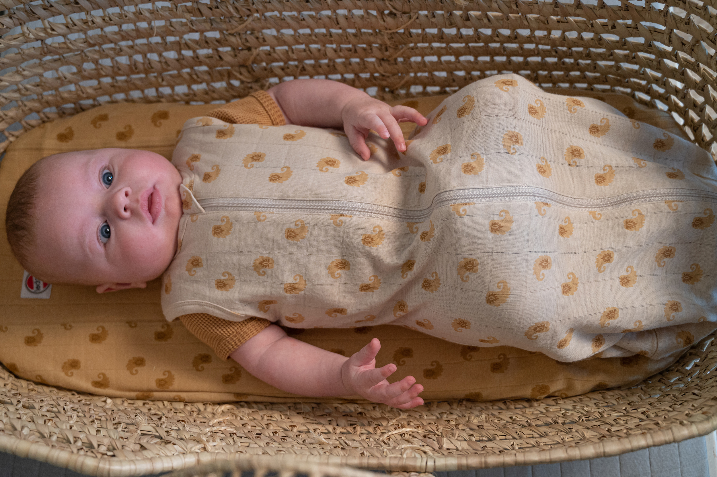 10 interesting facts about muslin sleeping bags for babies